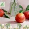 LINE_NOTE_250808_2 LEON 小菸油 加熱 主機 油品 小油 拋棄式