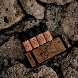 皇家騎士 小油 der ilia 一次性 拋棄式 主機 加熱煙