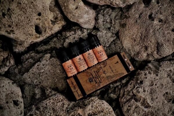 皇家騎士 小油 der ilia 一次性 拋棄式 主機 加熱煙