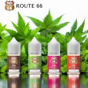 美國66公路 小菸油 小油 主機 拋棄式 煙彈 一次性