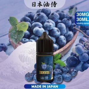 日本油侍 小菸油 油品 DER 拋棄式 煙彈 加熱菸