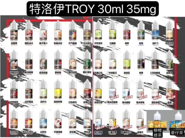 TROY 特洛伊 小菸油 小油 主機 拋棄式 一次性 電子菸