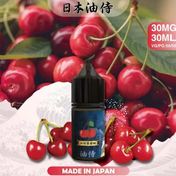 日本油侍 小菸油 油品 DER 拋棄式 煙彈 加熱菸